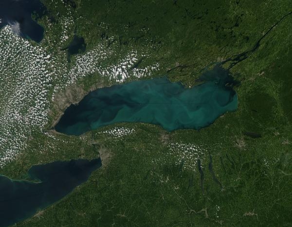phytoplankton bloom